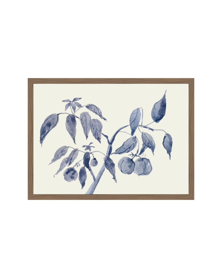 Sunland Botanicals No. 2