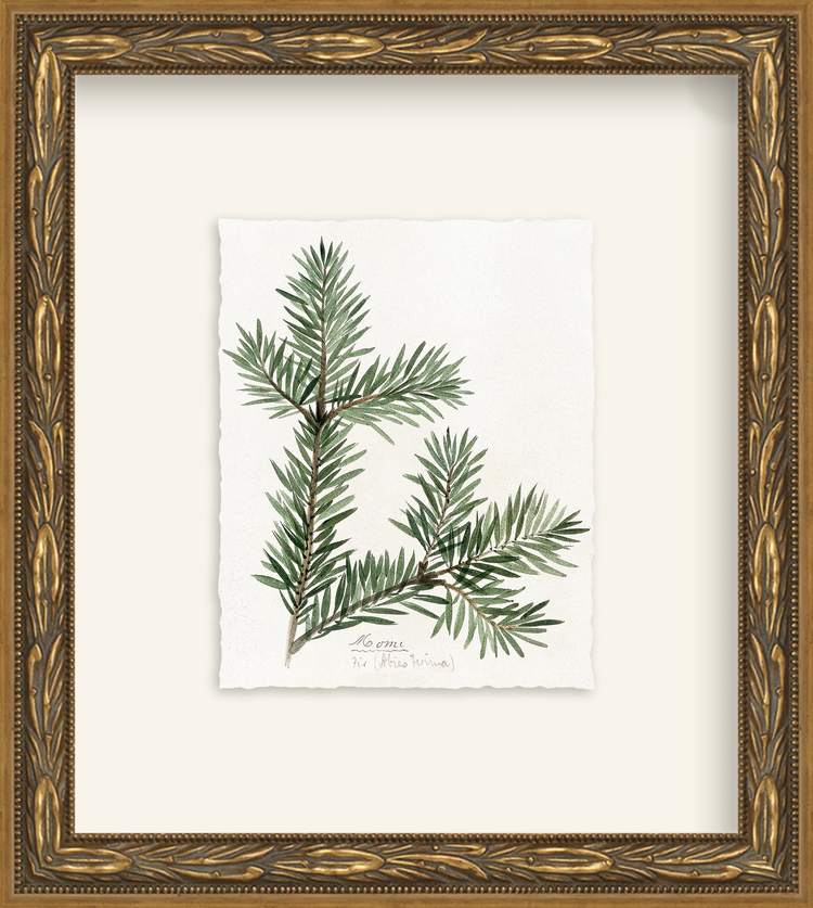 Framed - Laurel Gold - Rag - Warm White Mat / 8.5 x 9.5