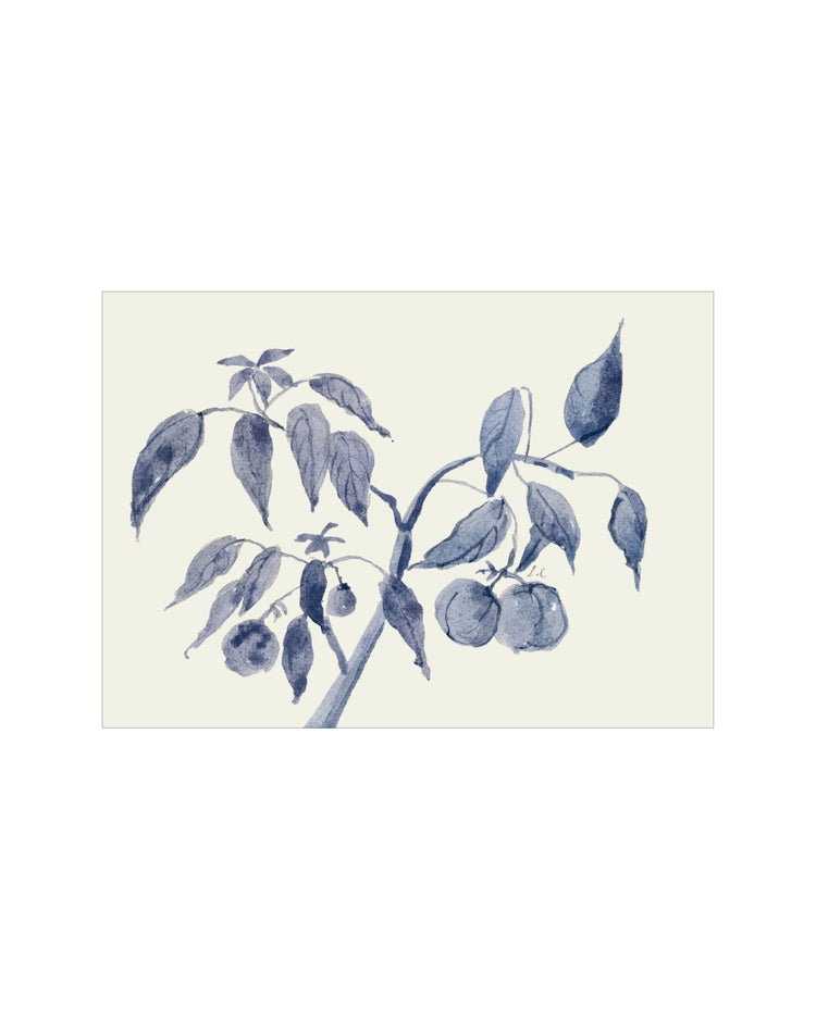 Sunland Botanicals No. 2
