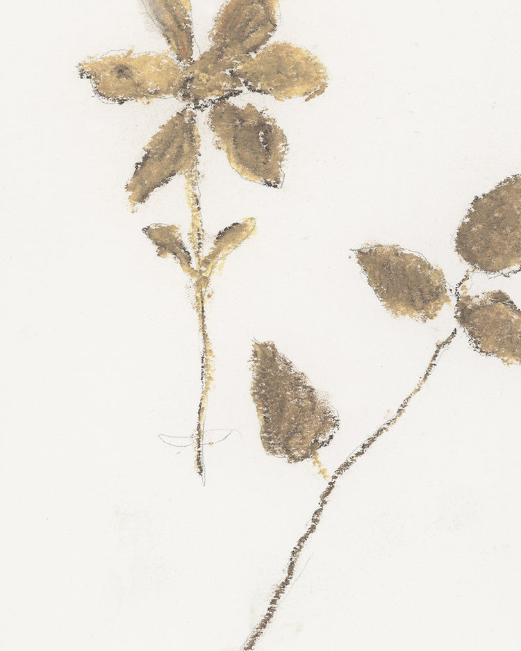 Wild Flowers I