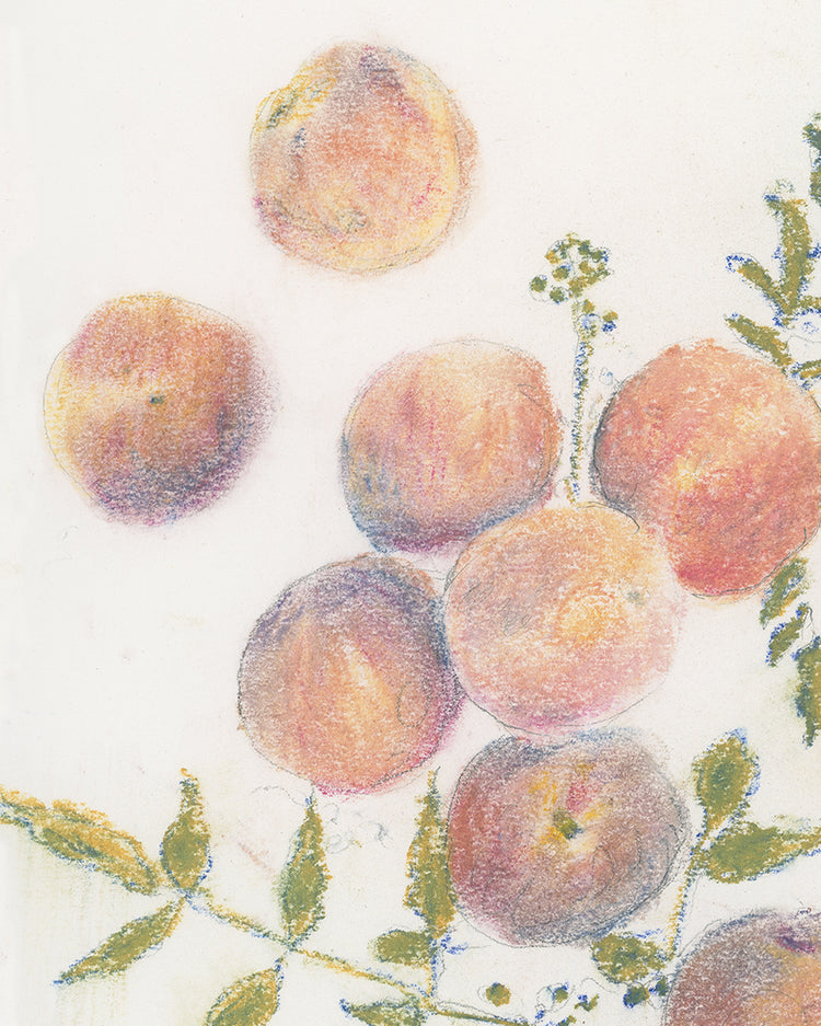 Pastel Peaches