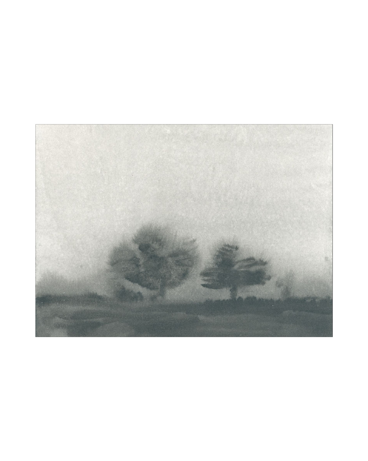 Trees in the Mist Landscape