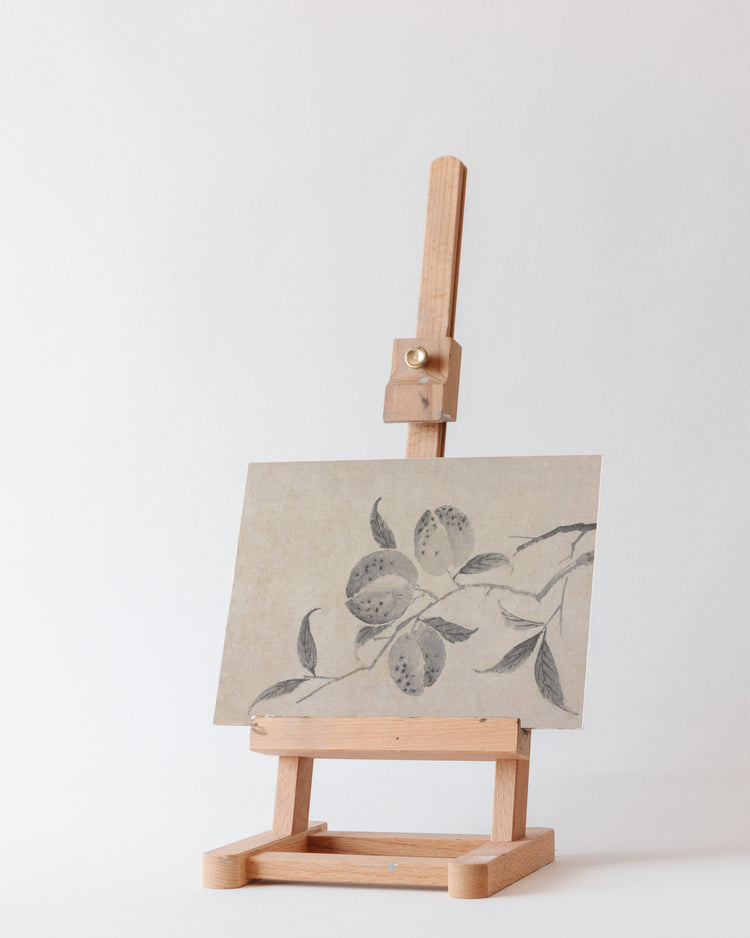 Shadowed Blooms 8