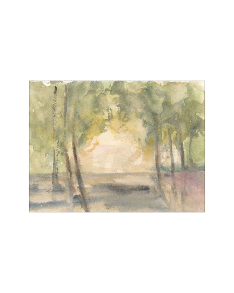 Light Through the Trees