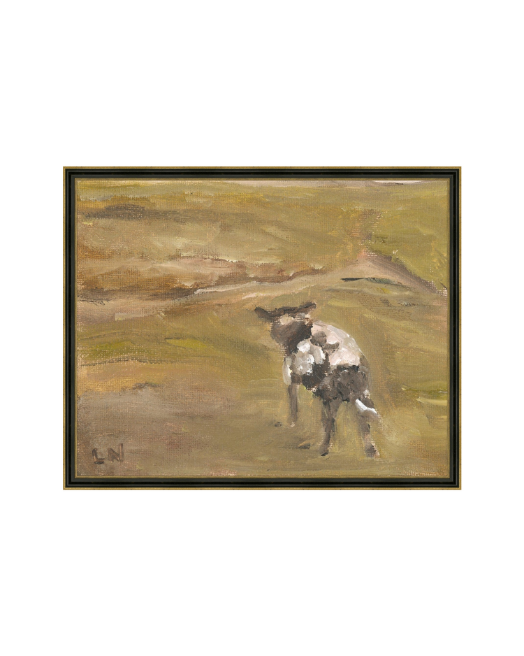 Sheep in the Field