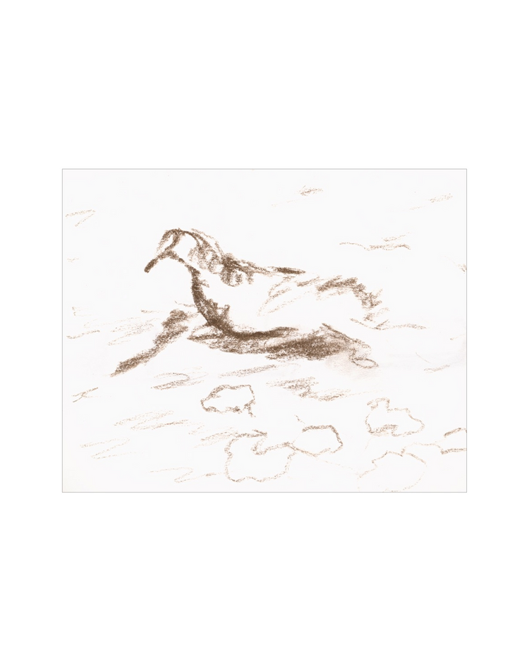 Wannsee Duck