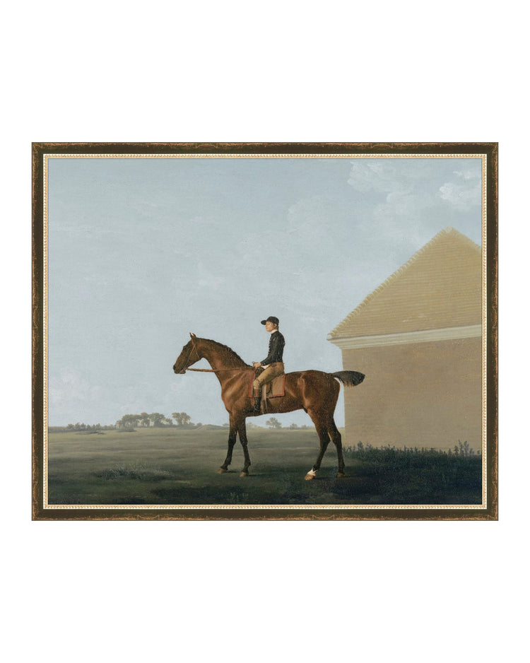 The Country Gentleman