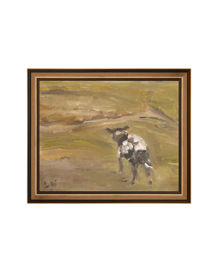 Sheep in the Field