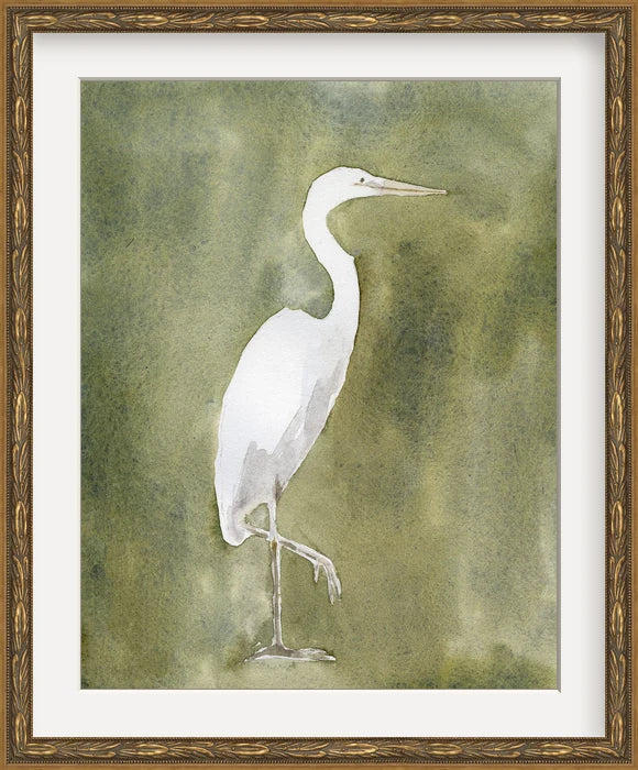 Great Egret - Custom Framed Print with Mat