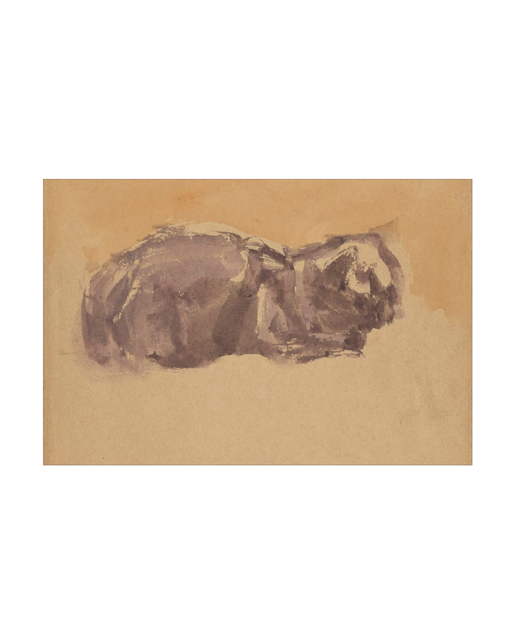 Watercolor Cat