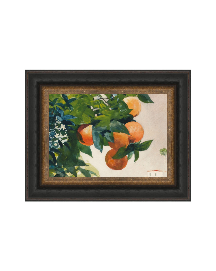 Fruit and Branch