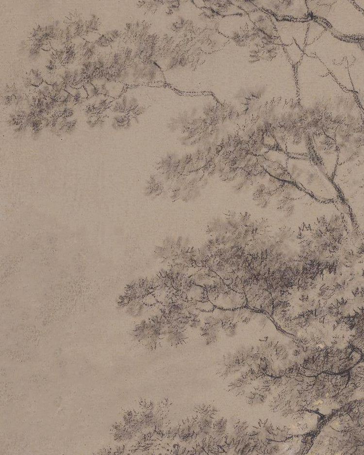 Woodland Sketch