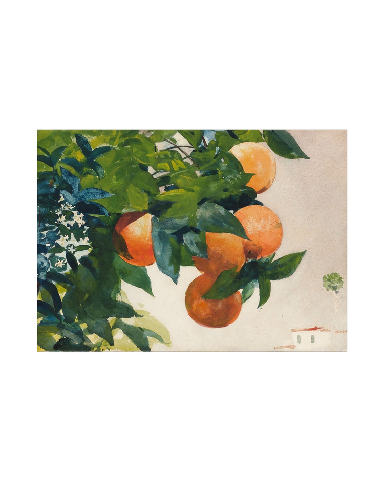 Fruit and Branch