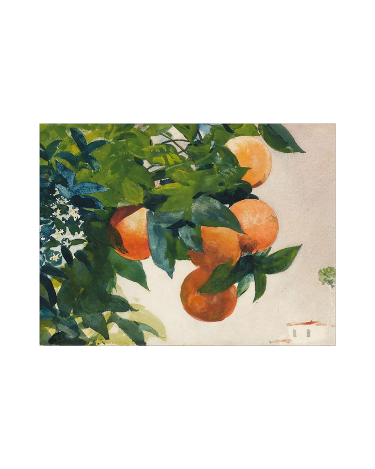 Fruit and Branch