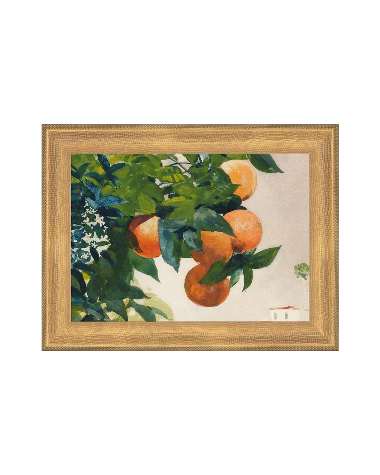 Fruit and Branch