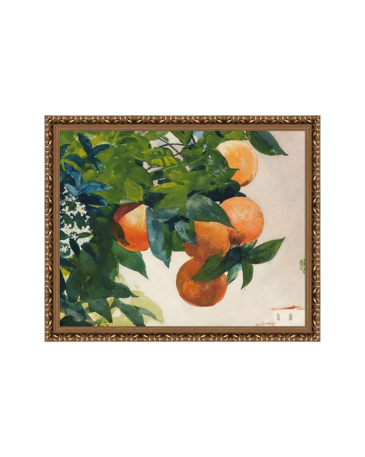 Fruit and Branch
