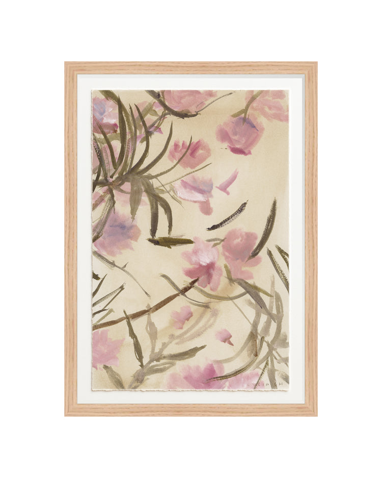Pink Adelfa