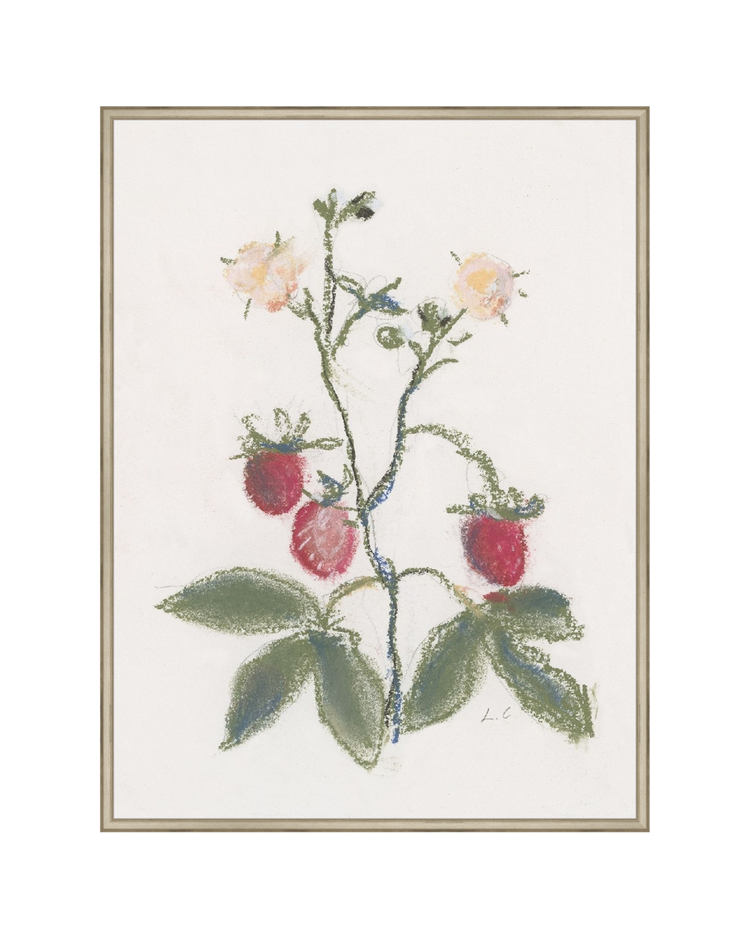 Strawberry Branch HoJ