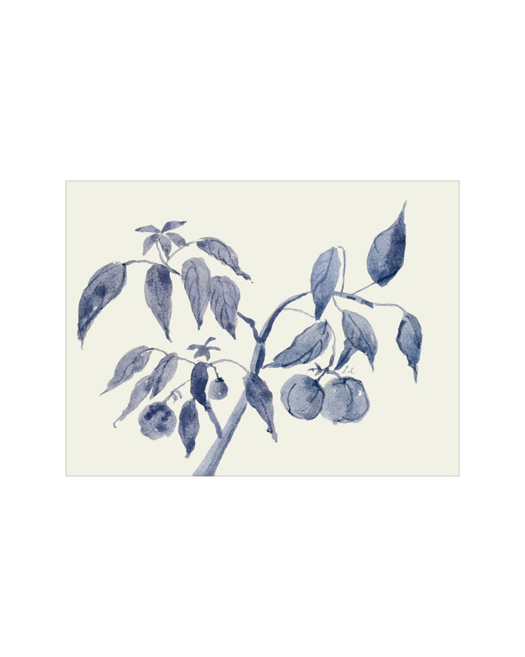 Sunland Botanicals No. 2