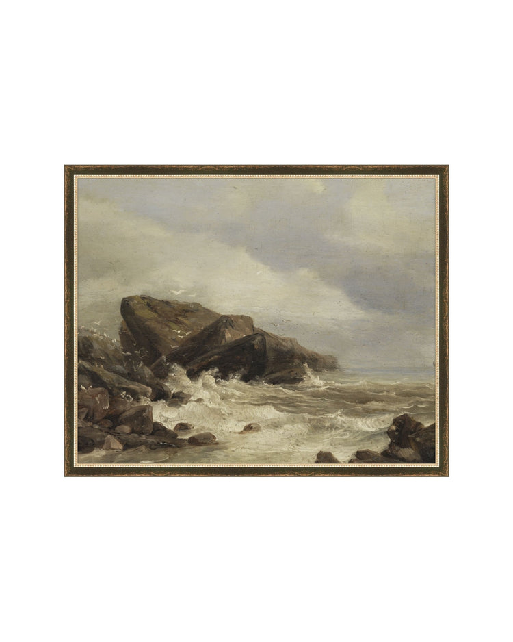 Stormy Coastline