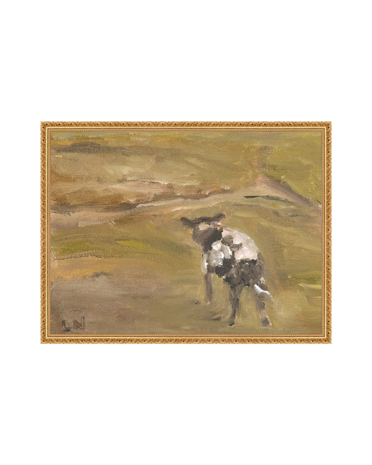 Sheep in the Field