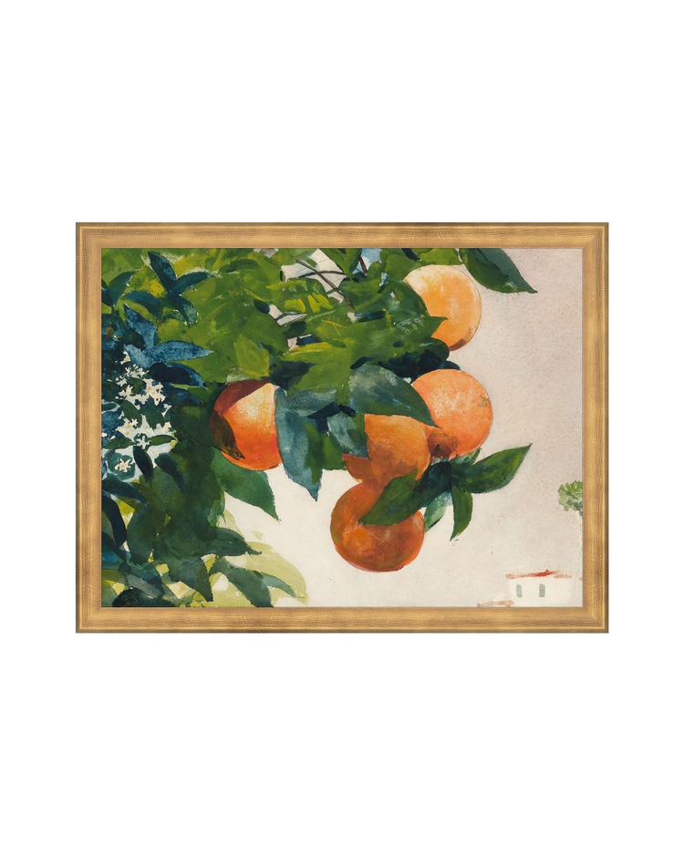 Fruit and Branch