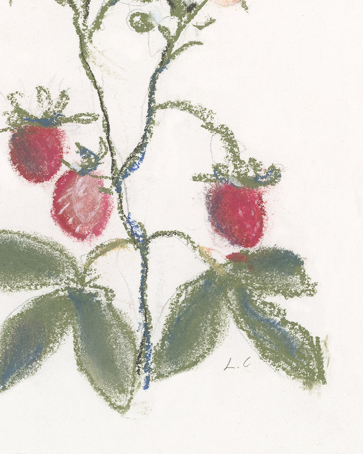Strawberry Branch