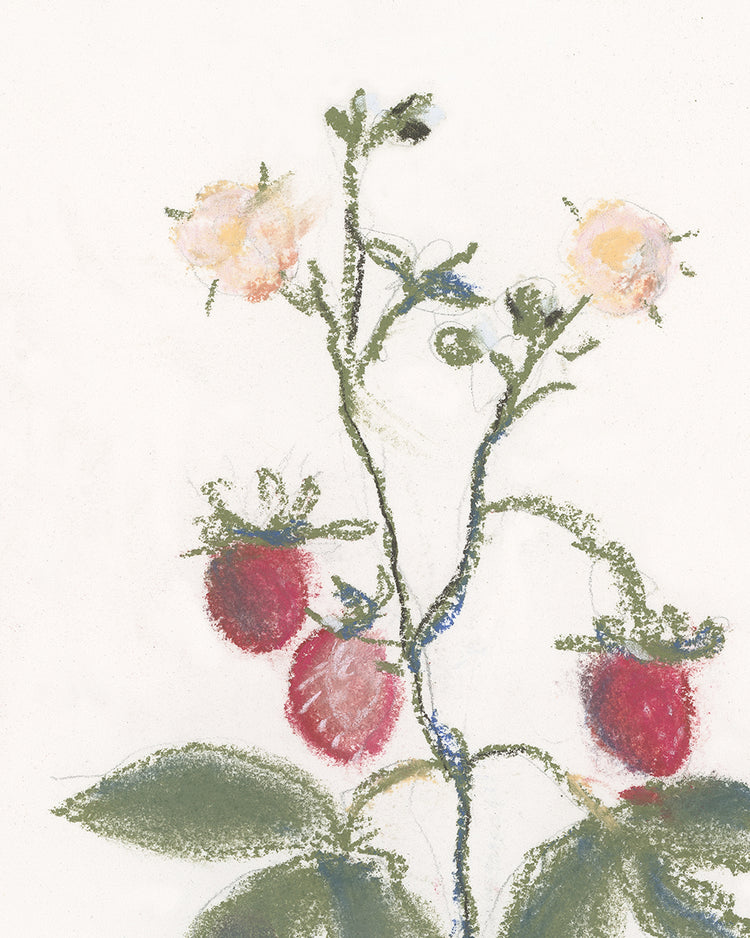 Strawberry Branch