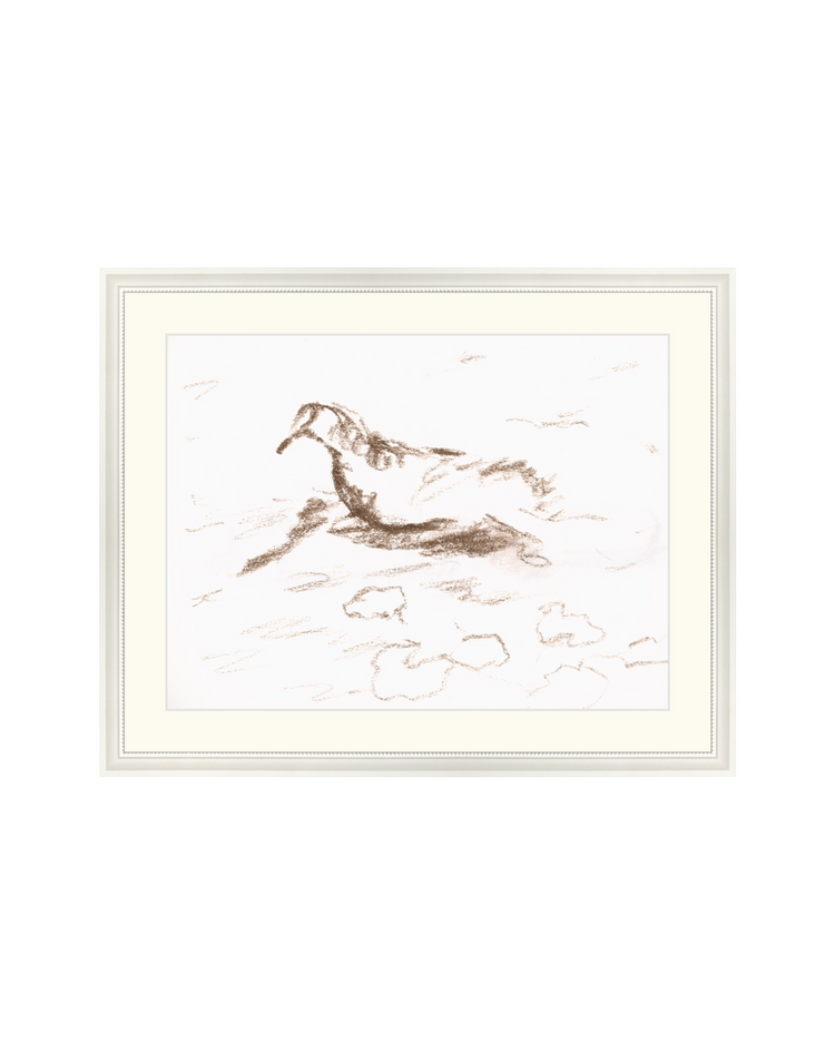 Wannsee Duck