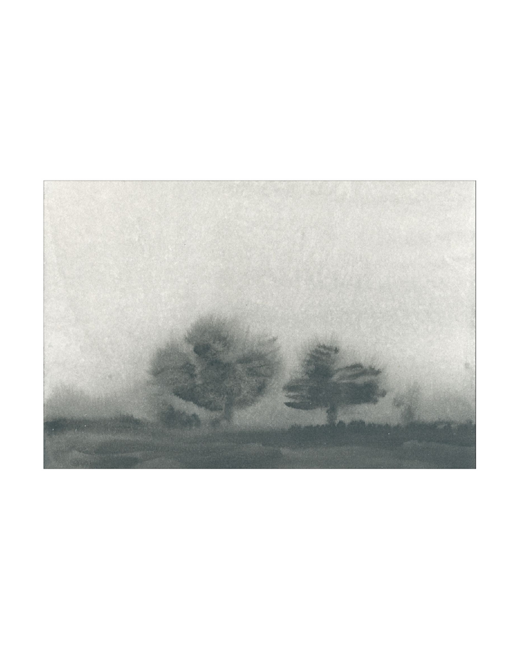 Trees in the Mist Landscape