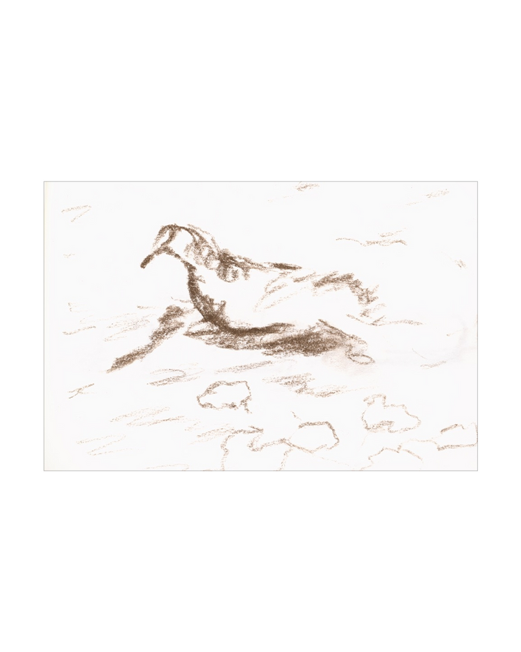 Wannsee Duck
