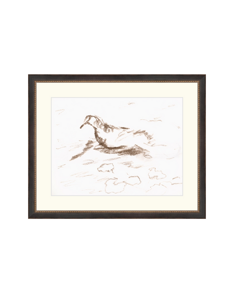 Wannsee Duck