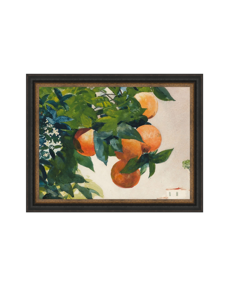 Fruit and Branch