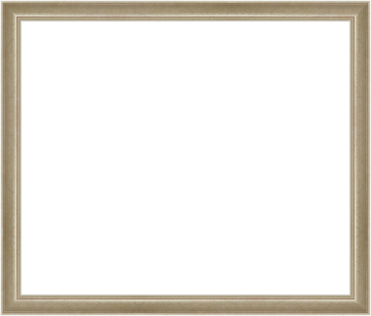 Light Silver Frame. Opening Size: 15x18. Final Size: 16'' X 19''