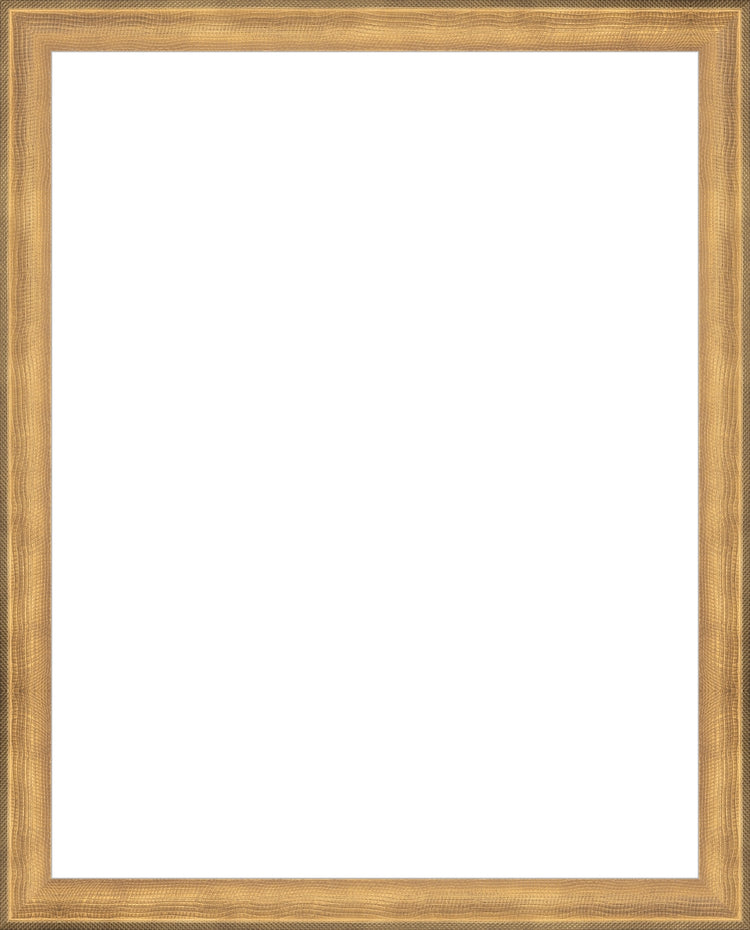 Timeless Gold Frame. Opening Size: 14x11. Final Size: 15'' X 12''
