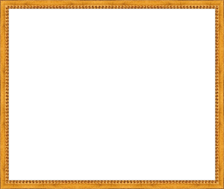 Gold Beaded Frame. Opening Size: 15x18. Final Size: 16'' X 19''