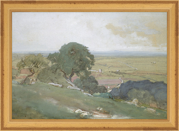 Framed Olivos. Frame: Traditional Gold. Paper: Rag Paper. Art Size: 7x10. Final Size: 8'' X 11''