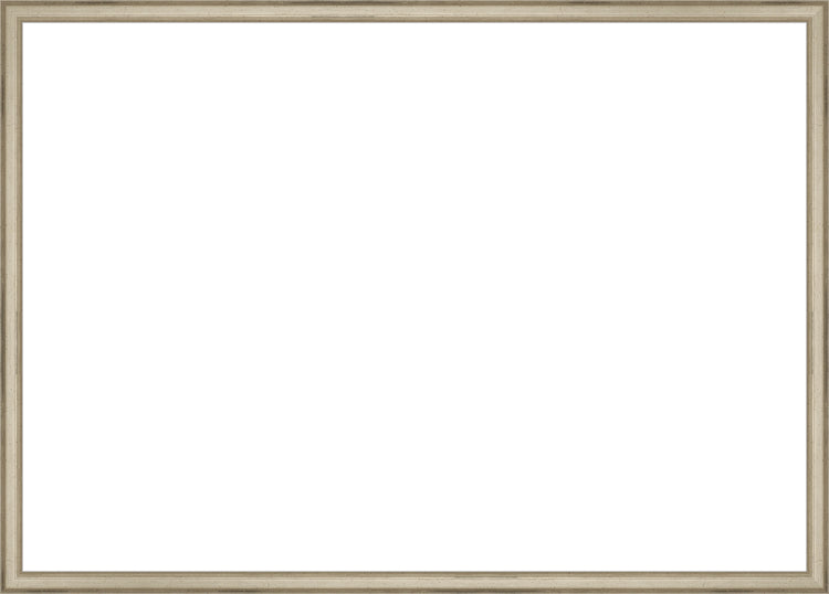 Traditional Silver Frame. Opening Size: 19x27. Final Size: 20'' X 28''