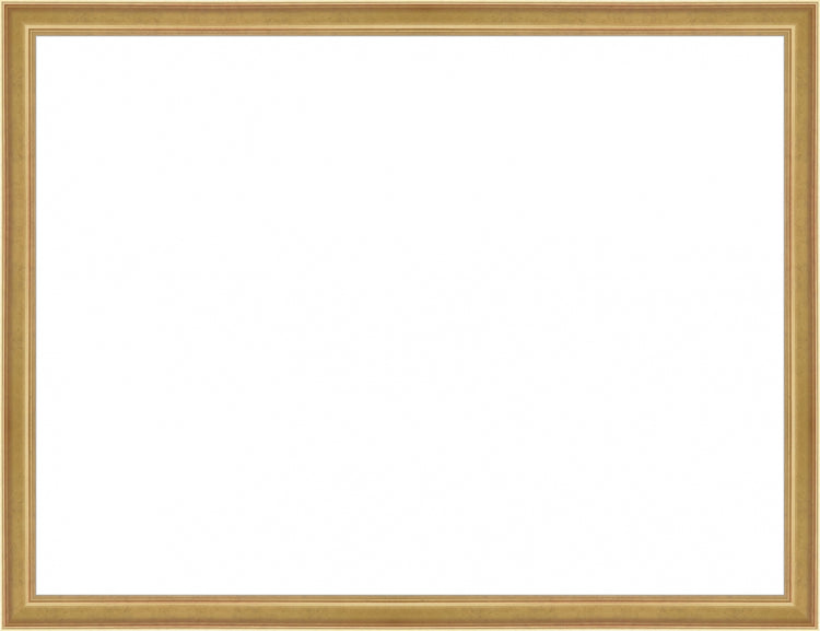 Light Gold Frame. Opening Size: 18x24. Final Size: 19'' X 25''