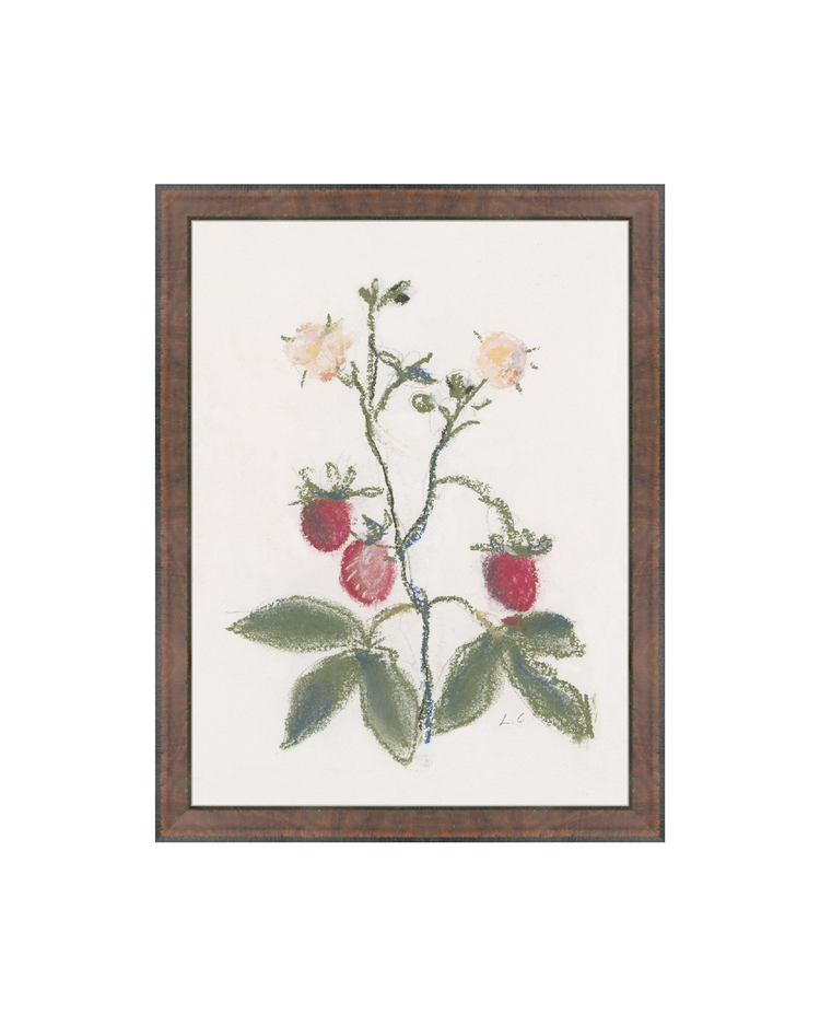 Strawberry Branch