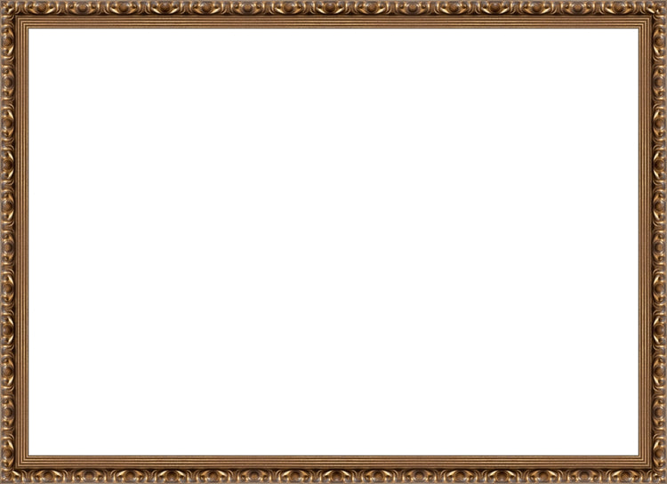 Gold Ornate Frame. Opening Size: 19x27. Final Size: 21'' X 29''