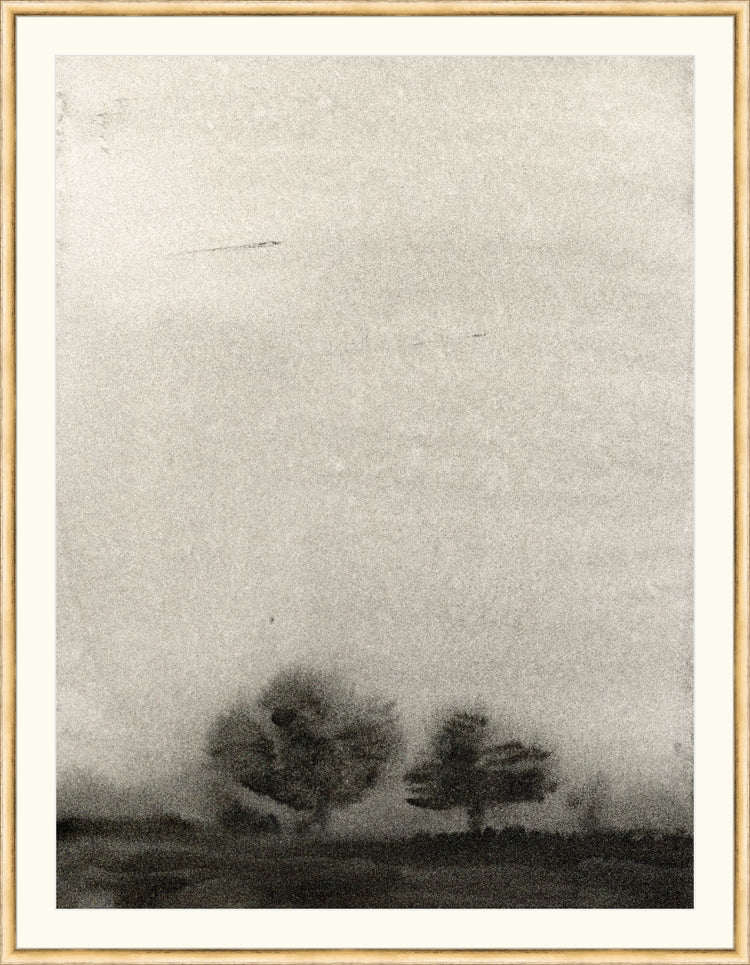 Trees In The Mist OAShop 2