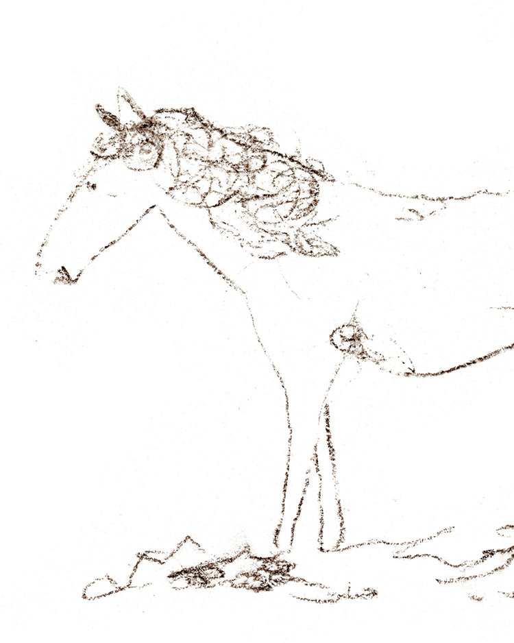 Horse Drawing