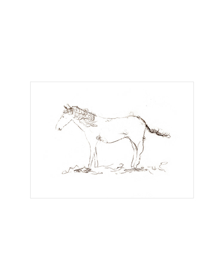 Horse Drawing