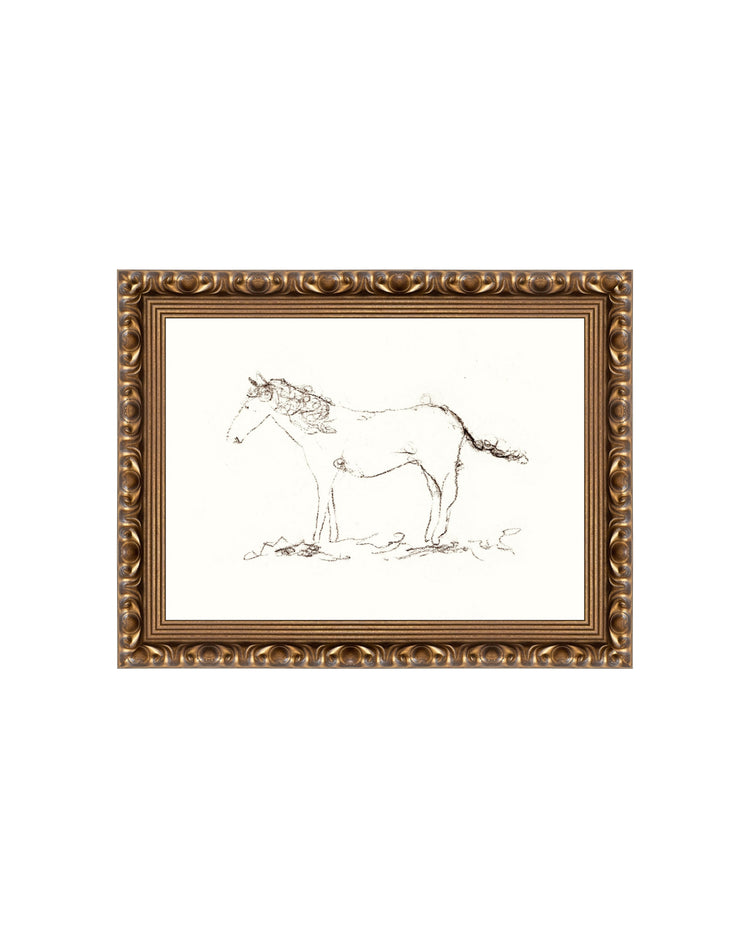 Horse Drawing
