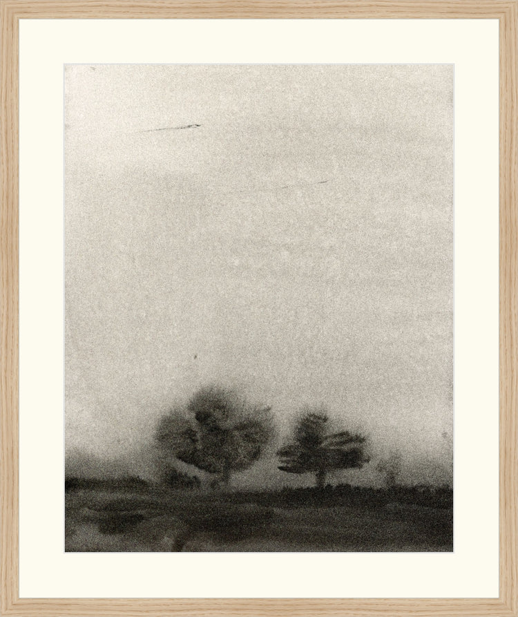 Trees In The Mist OAShop 2