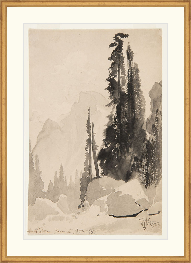 Antique Trees Drawing OAShop 2