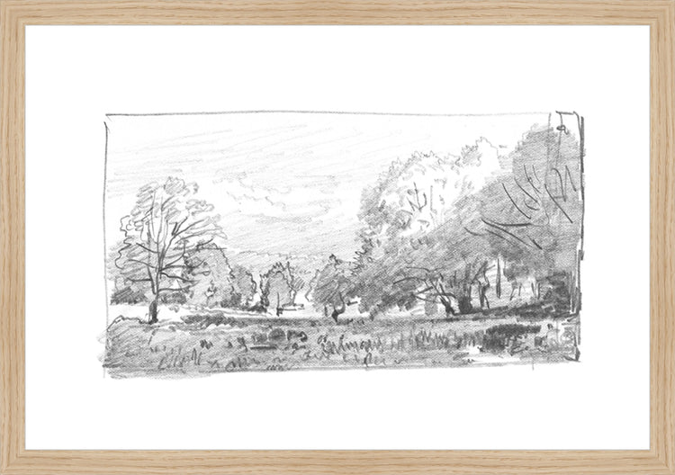 Framed Charcoal Trees 1. Frame: Natural Oak. Paper: Rag Paper. Art Size: 13x19. Final Size: 14'' X 20''