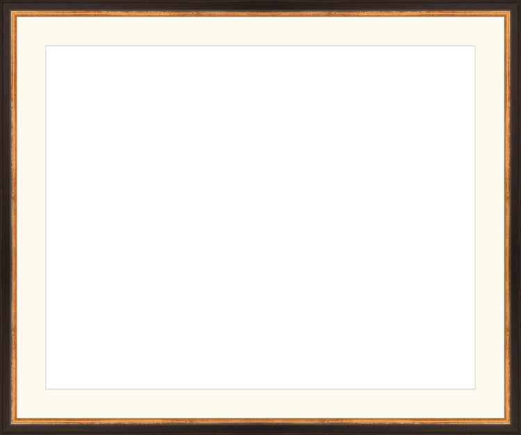 Traditional Black and Gold Frame. Opening Size: 16x20. Final Size: 20'' X 24''