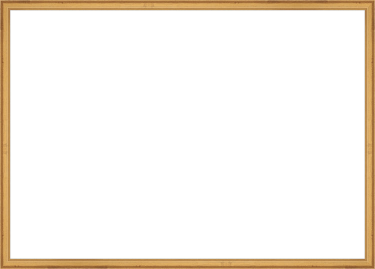 Traditional Gold Frame. Opening Size: 19x27. Final Size: 20'' X 28''